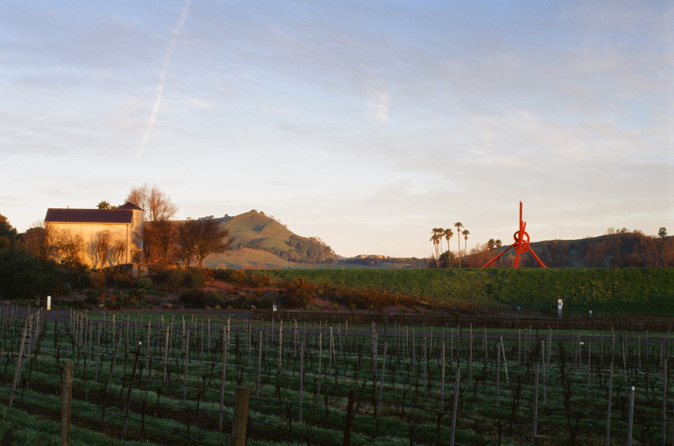 Sonoma Valley