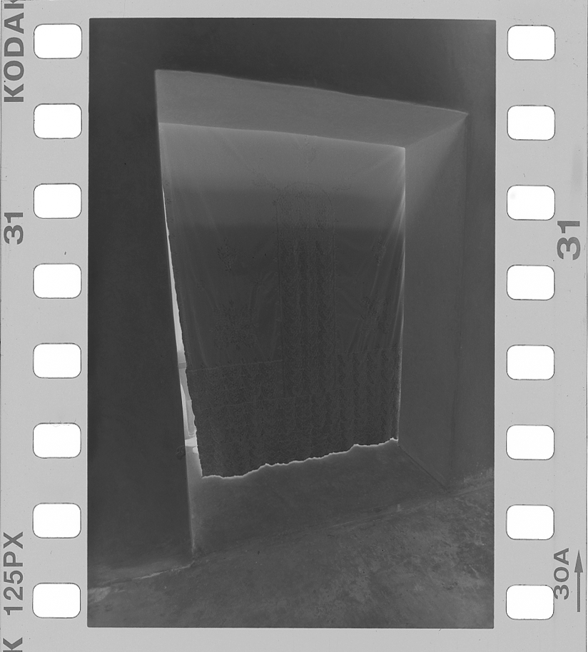 scan of original photograph MKH56592-31, Kodak PXP developed in XTOL