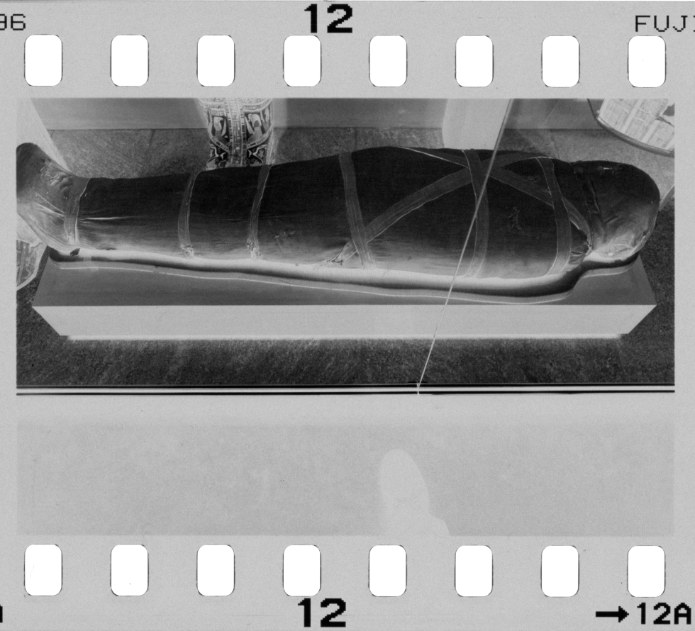 scan of original photograph UR-NYC8445-12