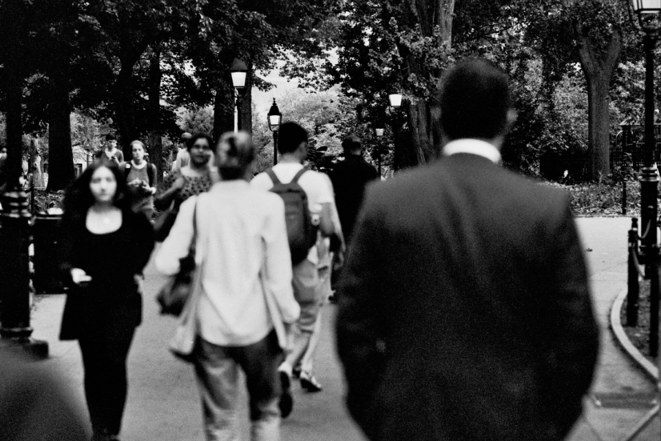people walking in the park