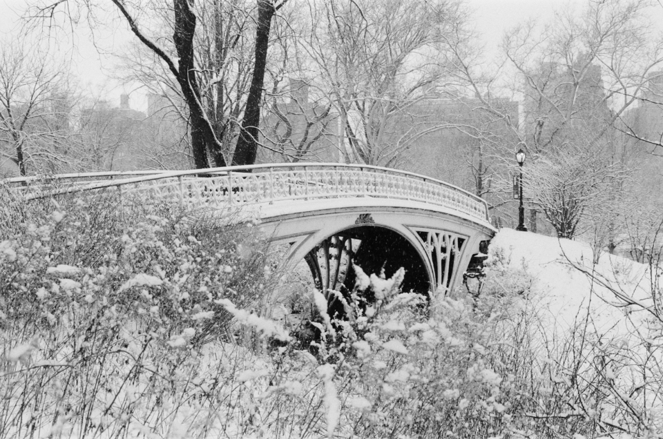 Bridge in Central Park