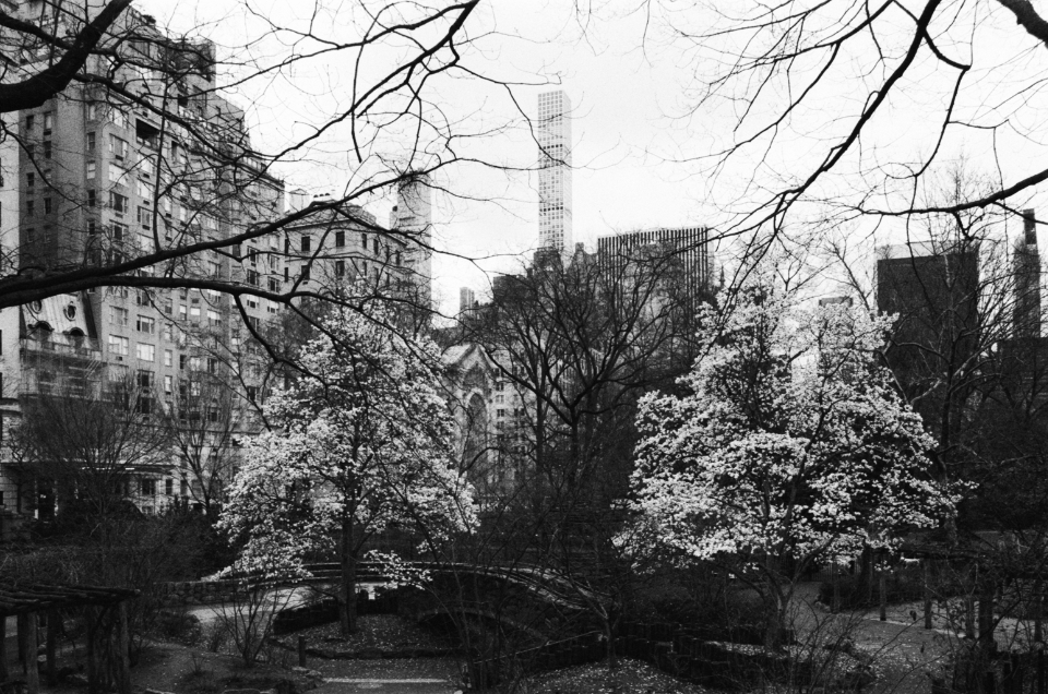 manhattan central park south east side