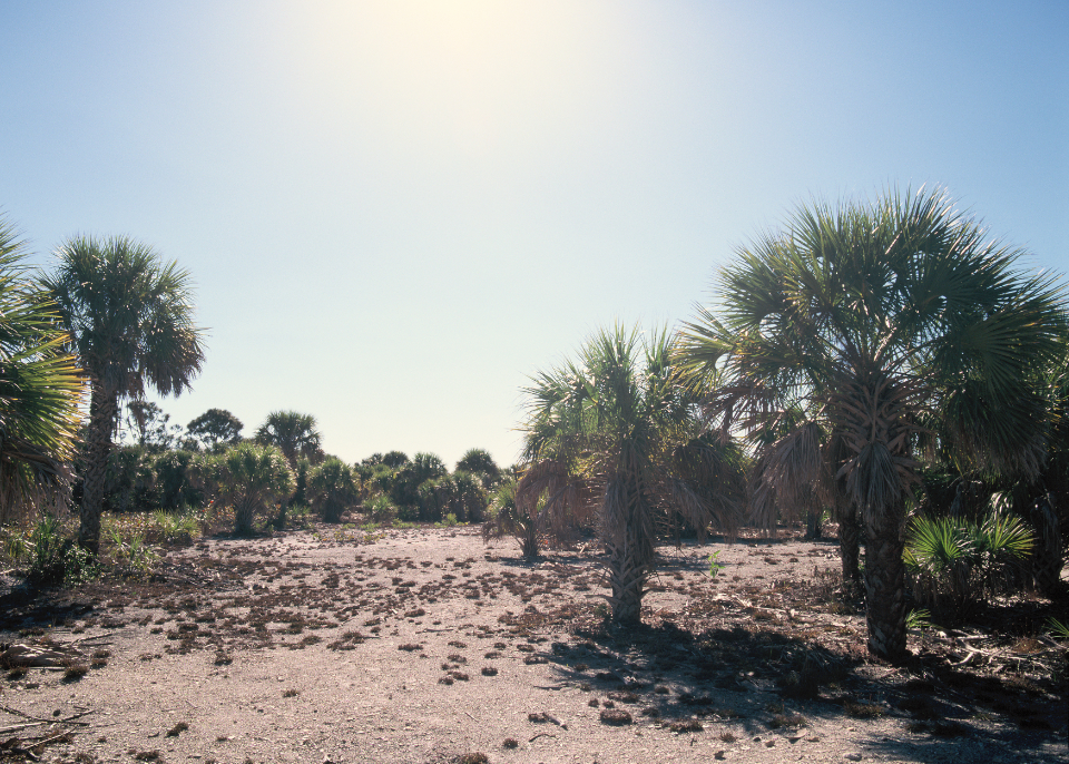 caspersen beach, venice, fl