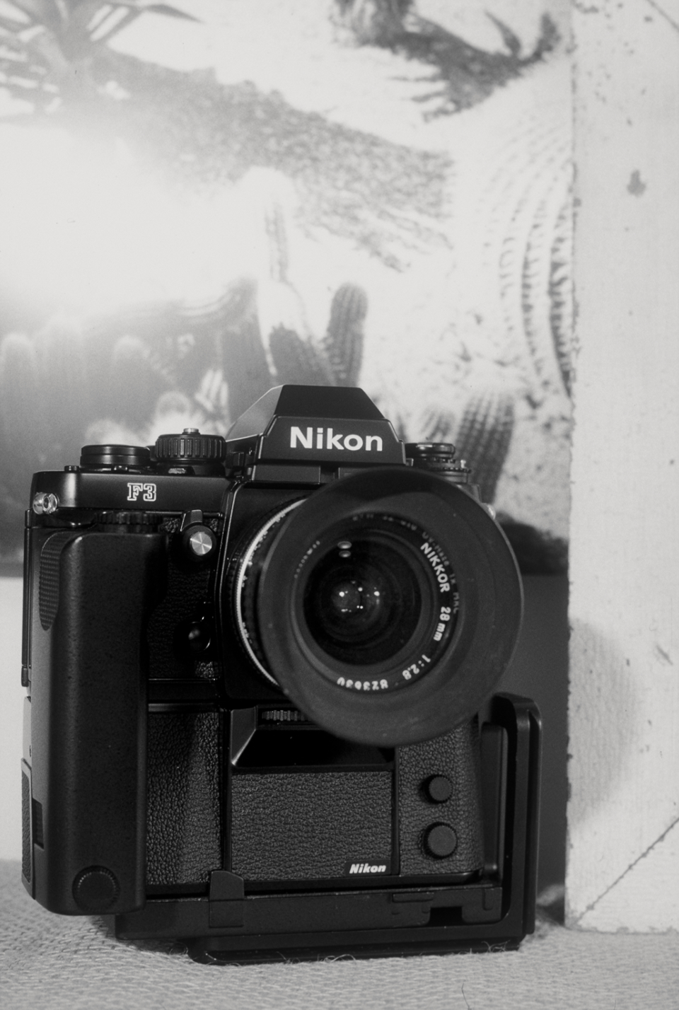 Nikon F3 photographed by Luigi Cassinelli