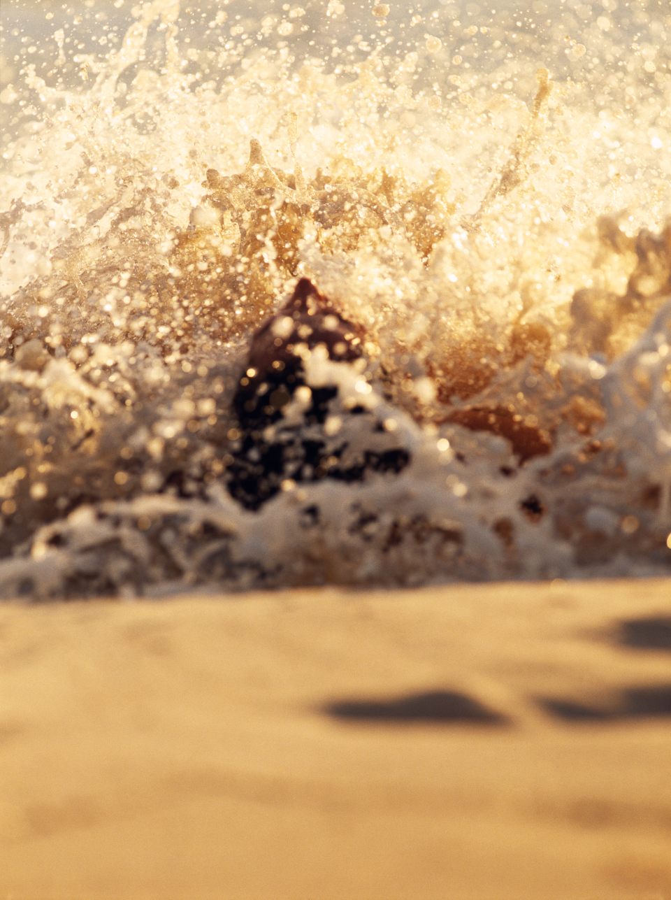 Jagna splashed on the shore in Praslin Seychelles photographed by Luigi Cassinelli